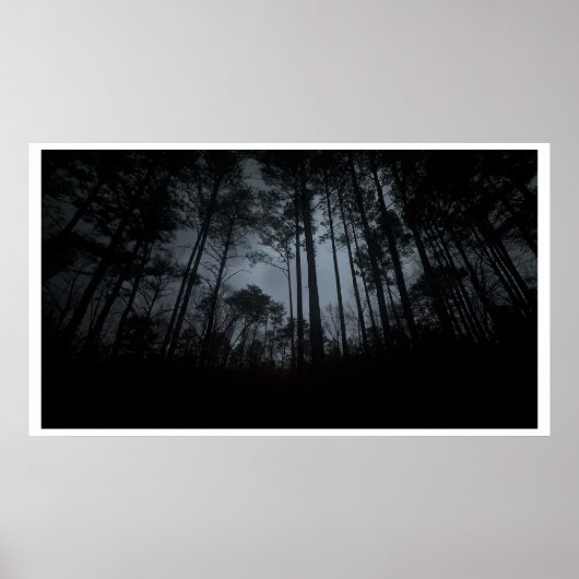 Trees & Fog,  Poster (Vorne)
