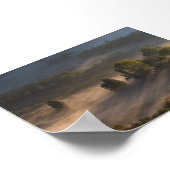 Trees in the morning mis poster (Ecke)