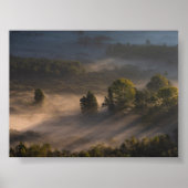 Trees in the morning mis poster (Vorne)