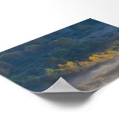 Trees in the morning mist poster (Ecke)