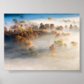 Trees in the morning mist poster (Vorne)