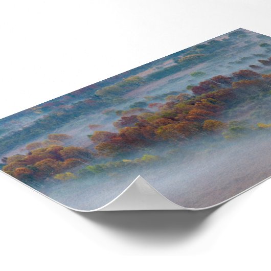 Trees in the morning mist poster (Ecke)