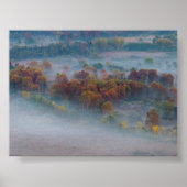 Trees in the morning mist poster (Vorne)