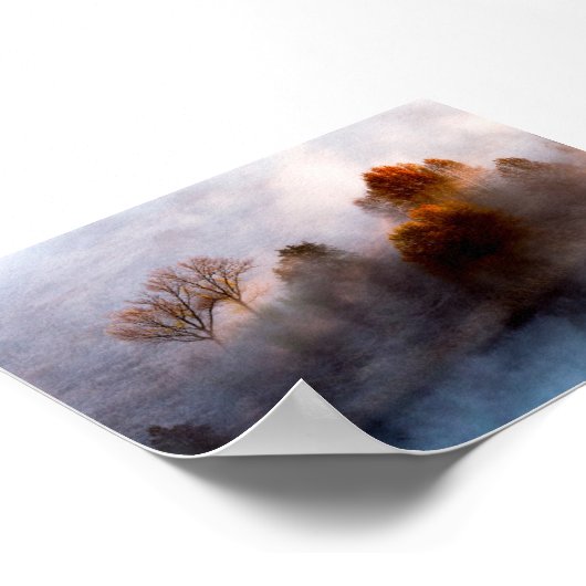 Trees in the morning mist poster (Ecke)