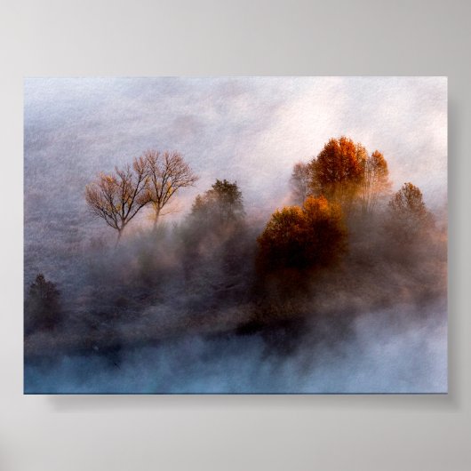 Trees in the morning mist poster (Vorne)