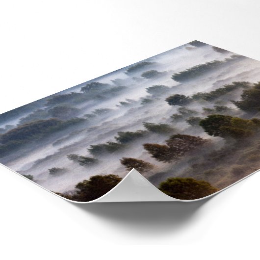 Trees in the morning mist poster (Ecke)