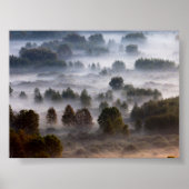 Trees in the morning mist poster (Vorne)