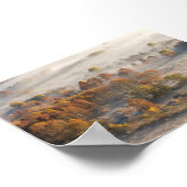 Trees in the morning mist poster (Ecke)