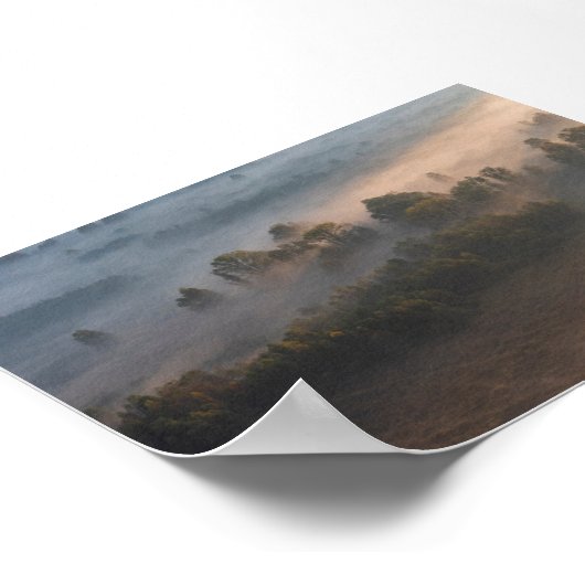 Trees in the morning mist poster (Ecke)