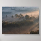 Trees in the morning mist poster (Vorne)