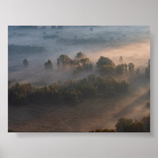 Trees in the morning mist poster (Vorne)