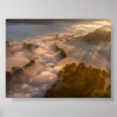 Trees in the morning mist poster (Vorne)
