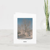 Trees laden with Snow Notecards Karte (Rückseite)