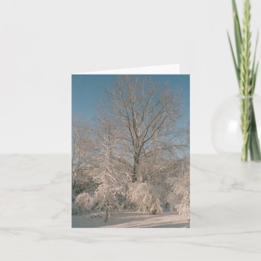 Trees laden with Snow Notecards Karte (Vorderseite)