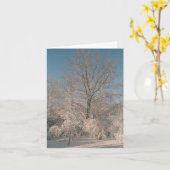 Trees laden with Snow Notecards Karte (Gelbe Blume)
