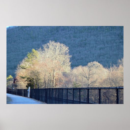 Trees Lehigh Gorge Staat Park Poster (Vorne)
