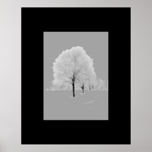 Trees - matted, black & white wall art poster