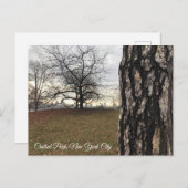 Trees New York NYC Sunrise Central Park Skyline Postkarte (Vorne/Hinten)