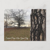 Trees New York NYC Sunrise Central Park Skyline Postkarte (Vorderseite)