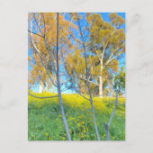 Trees Postkarte (Vorderseite)