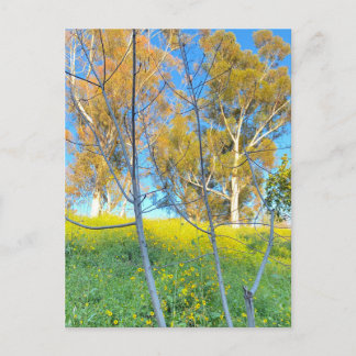 Trees Postkarte