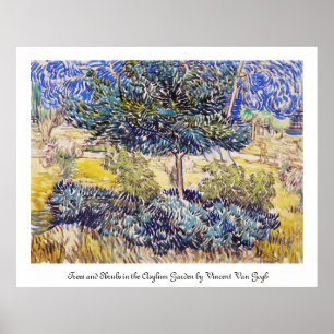 Trees Shrubs Asylum Garden Vincent Van Gogh Poster