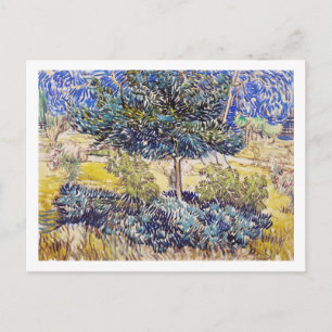 Trees Shrubs Asylum Garden Vincent Van Gogh Postkarte