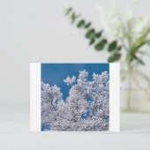 Trees Snow Branches Minnesota Postkarte (Stehend Vorderseite)