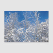 Trees Winter Snow Bedeckte Blaue Himmelslandschaft Seidenpapier (Vorderseite)