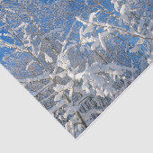 Trees Winter Snow Bedeckte Blaue Himmelslandschaft Seidenpapier (Ausschnitt)