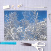 Trees Winter Snow Bedeckte Blaue Himmelslandschaft Seidenpapier (Handwerk)