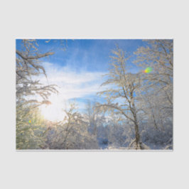Trees Winter Snow Covered Blue Sky Wolken Landscha Seidenpapier