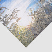 Trees Winter Snow Covered Blue Sky Wolken Landscha Seidenpapier (Ausschnitt)