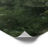 Treetops drucken poster (Ecke)