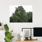 Treetops drucken poster (Heimbüro)