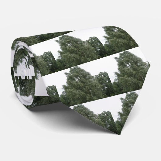 Treetops-Krawatte Krawatte (Gerollt)