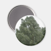 Treetops Magnet (Vorderseite/Rückseite)