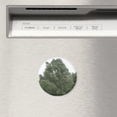 Treetops Magnet (In Situ (Geschirrspüler))