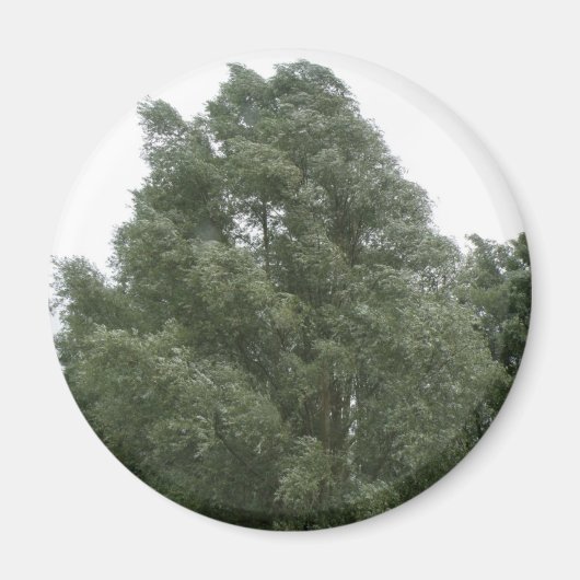 Treetops Magnet (Vorne)