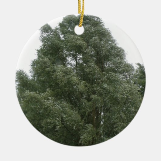 Treetops Ornament (Vorne)