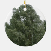 Treetops Ornament (Hinten)