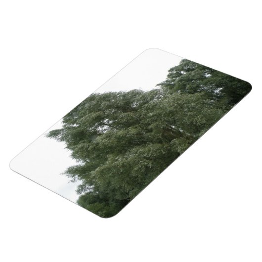 Treetops Premium Magnet (Linke Seite)