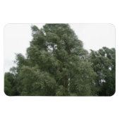 Treetops Premium Magnet (Horizontal)