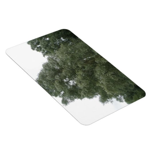 Treetops Premium Magnet (Rechte Seite)