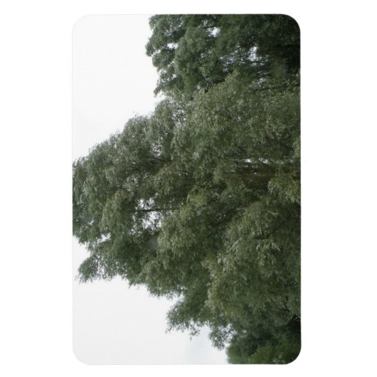 Treetops Premium Magnet (Vertikal)