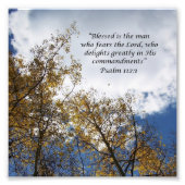 Treetops Psalms 11:23 Scripture Foto Drucken (Vorne)