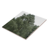 Treetops Tile Fliese (Seite)