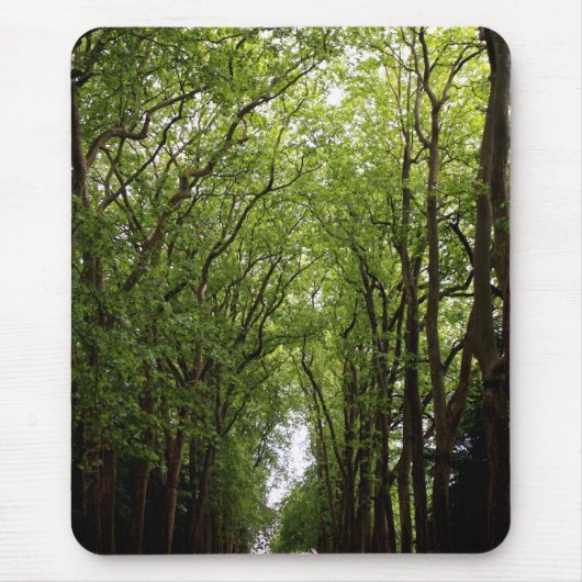 Treetops vertikal mousepad (Vorne)