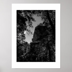 Treeview Yosemite Black and White Fotografy Poster