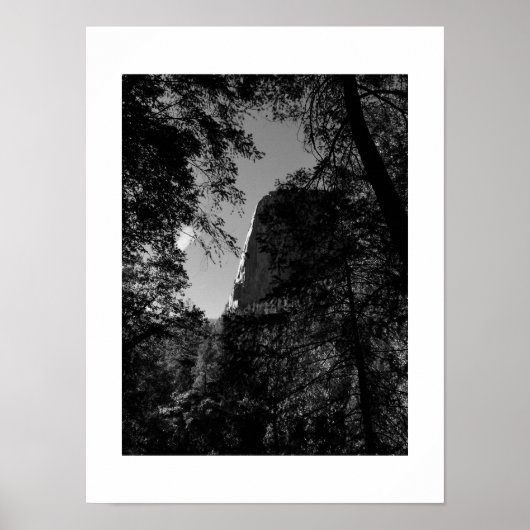 Treeview Yosemite Black and White Fotografy Poster (Vorne)